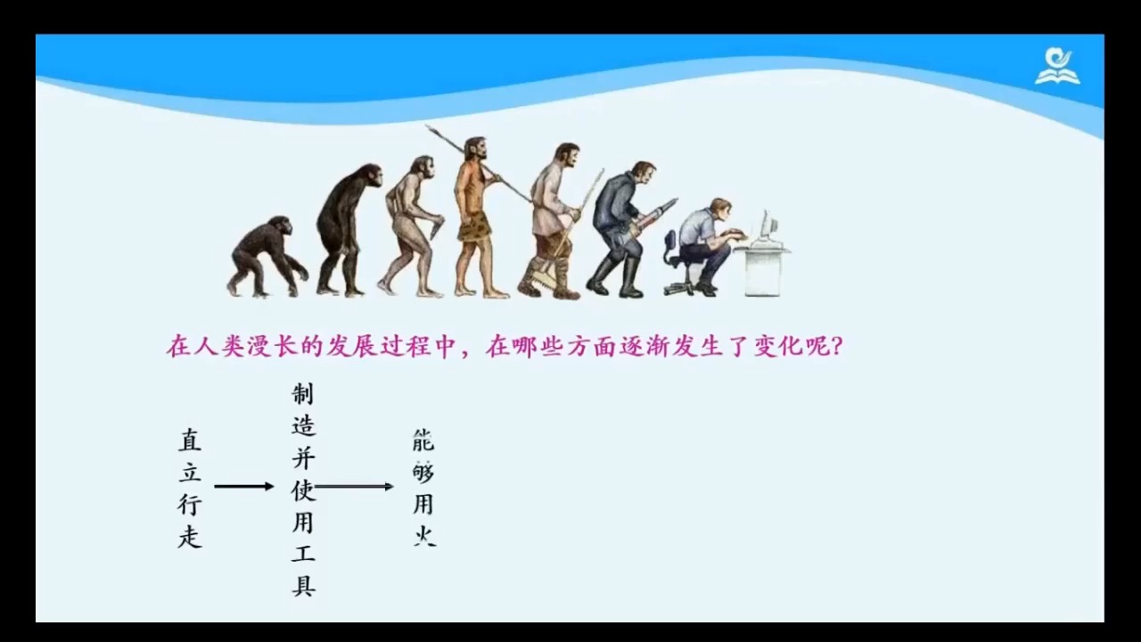 1.1 人类的起源和发展