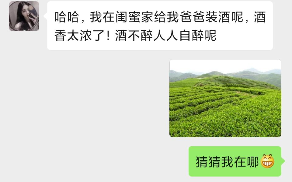 玉手箱青山業と田玉5925純銀水滴碧玉垂らしファッションレディー99C