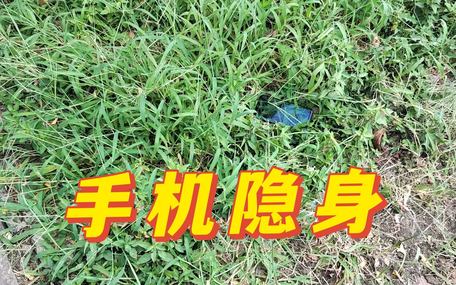 [图]手机放草丛里，真的能隐身吗？帅小伙亲测！