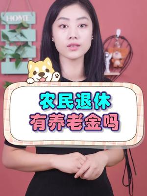 农民退休有养老金吗?哔哩哔哩bilibili