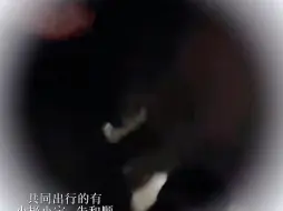 下载视频: 【极禹】我陪你一起嘛