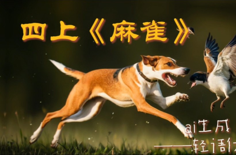 麻雀与猎狗图片