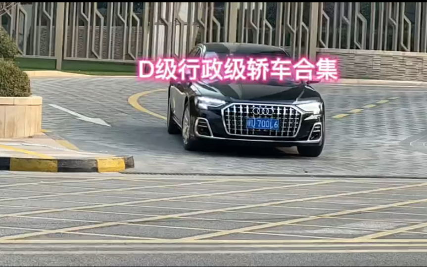 [图]12款D级行政轿车，你的梦想是哪一款？