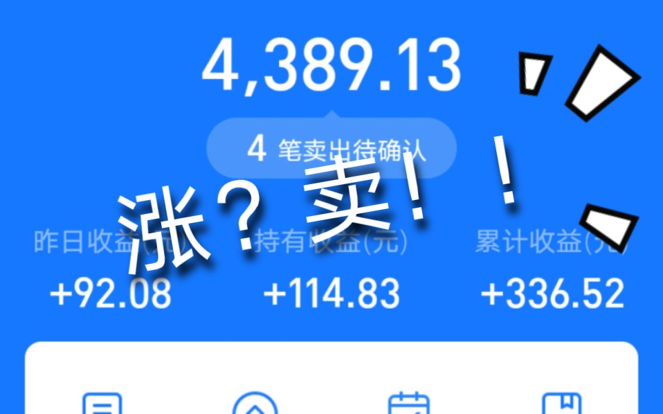 【基金】支付宝+微信收益+88,科技股真的靠不住!握不住的沙那就扬了它!哔哩哔哩bilibili