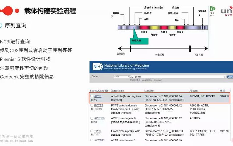 载体构建实验流程详解序列查询哔哩哔哩bilibili