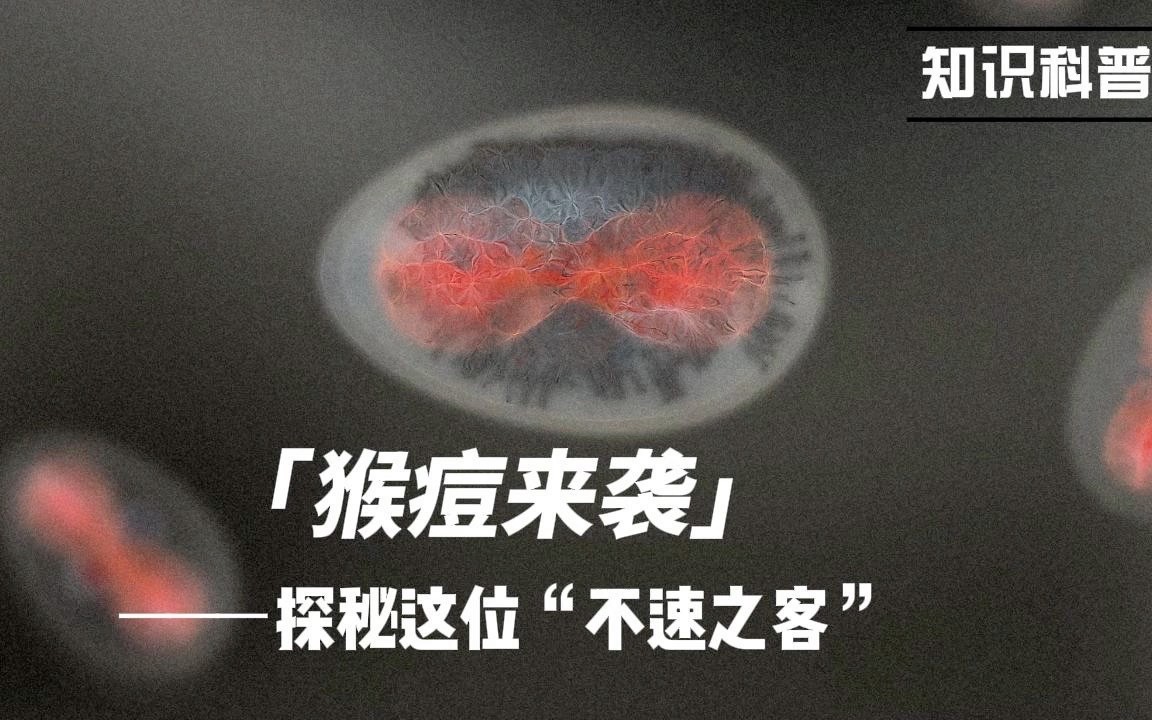 不要围观,小心点开!如何避免成为猴痘的下一个目标哔哩哔哩bilibili