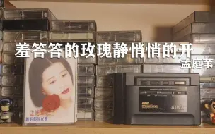 Tải video: 耳朵怀孕，磁带试听《羞答答的玫瑰静悄悄的开》1993年孟庭苇