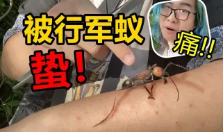 Video herunterladen: Up被最危险蚂蚁蛰！进入美洲热带雨林寻找最危险的生物！玛雅怪形第二集 失落的树海