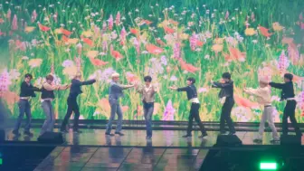 Download Video: 【ZB1】“In Bloom + Insomnia + Good Night”首尔演唱会4K