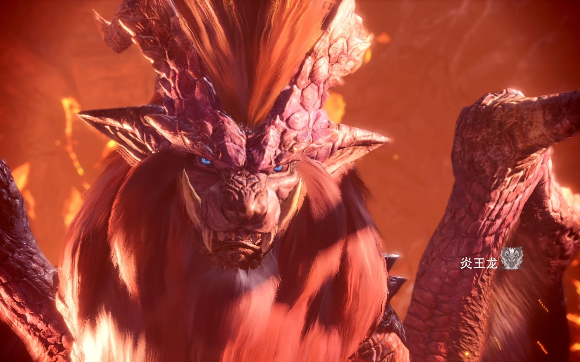 【怪物猎人世界冰原】画廊"爆炎的炎王龙"