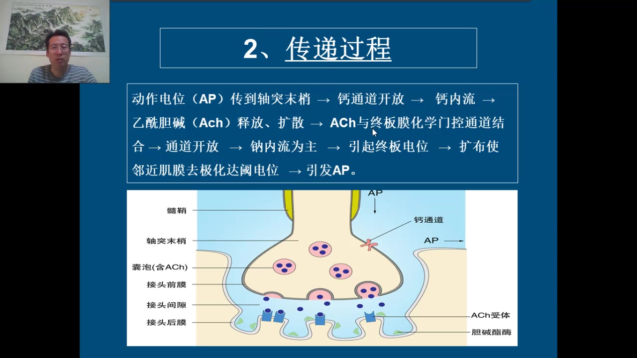 [图]神经-生理学