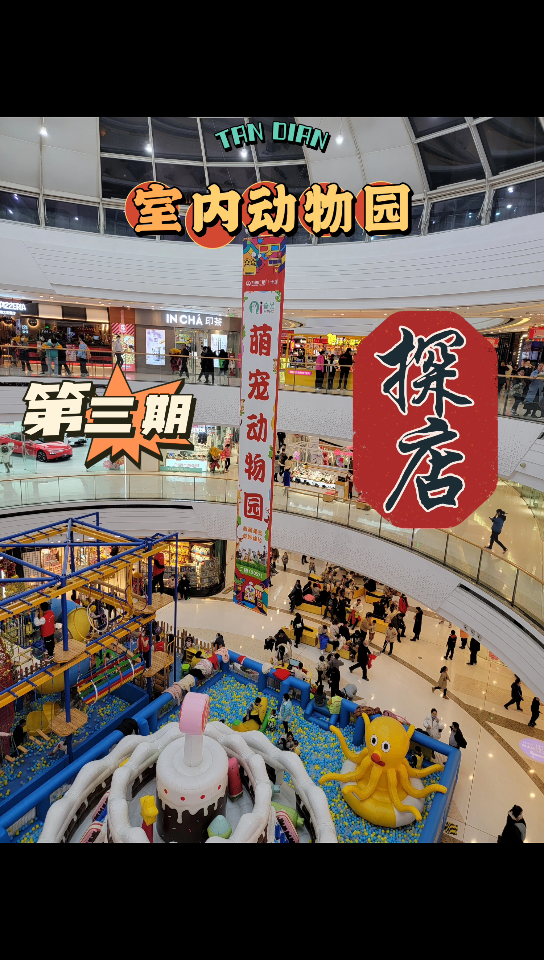活动  『万达室内动物园探店-第三期』