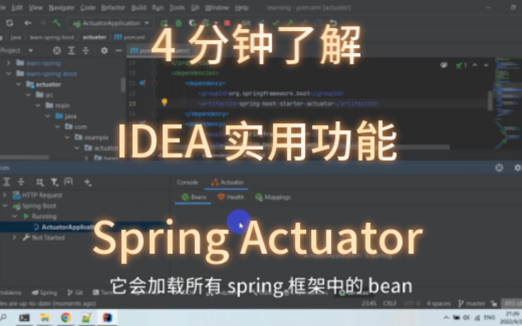 [图]IDEA 实用功能之 Spring Actuator