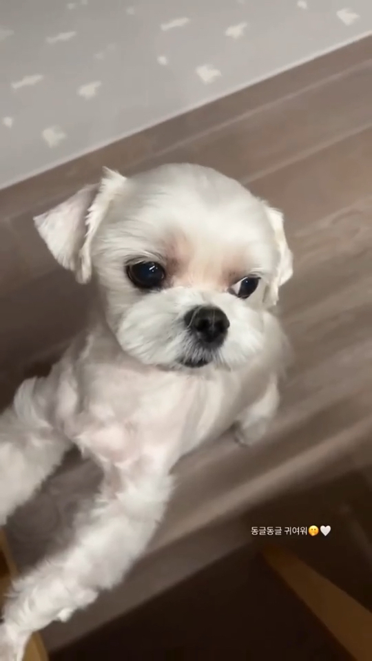 211112jisooins更新好久不见了我们月熊