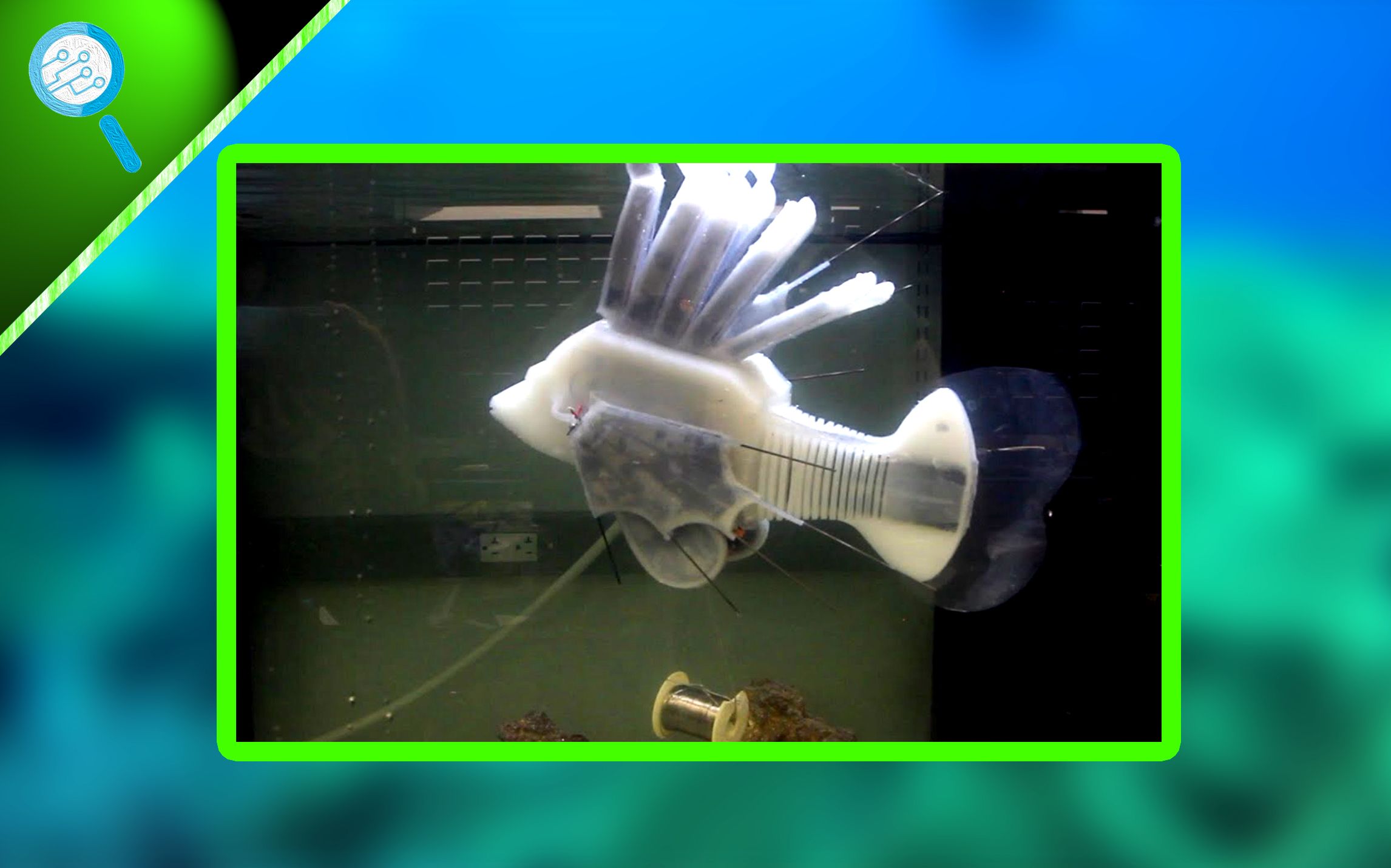 如血液般循环供能超强续航仿生机器鱼问世丨观澜科技023