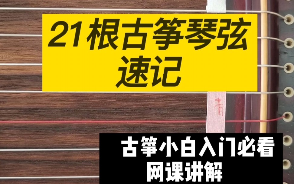 零基础学古筝第一课认识21根琴弦哔哩哔哩bilibili