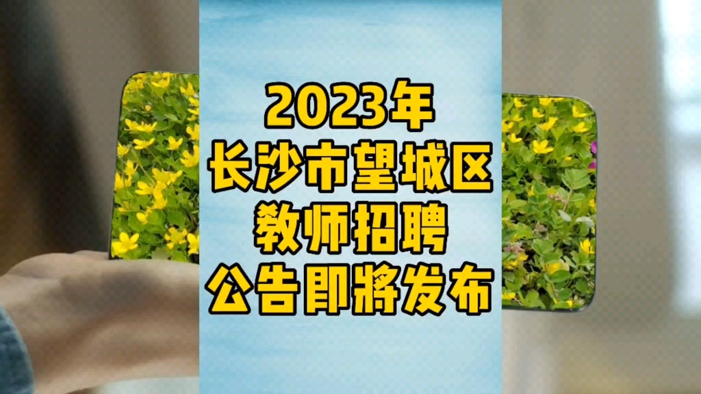 官方回复:2023年长沙市望城区教师招聘公告预计在4月中旬前后发布!不需要任教经验哦!哔哩哔哩bilibili