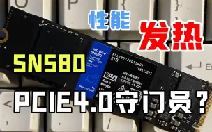 Download Video: 可能是全网最真实的SN580测评