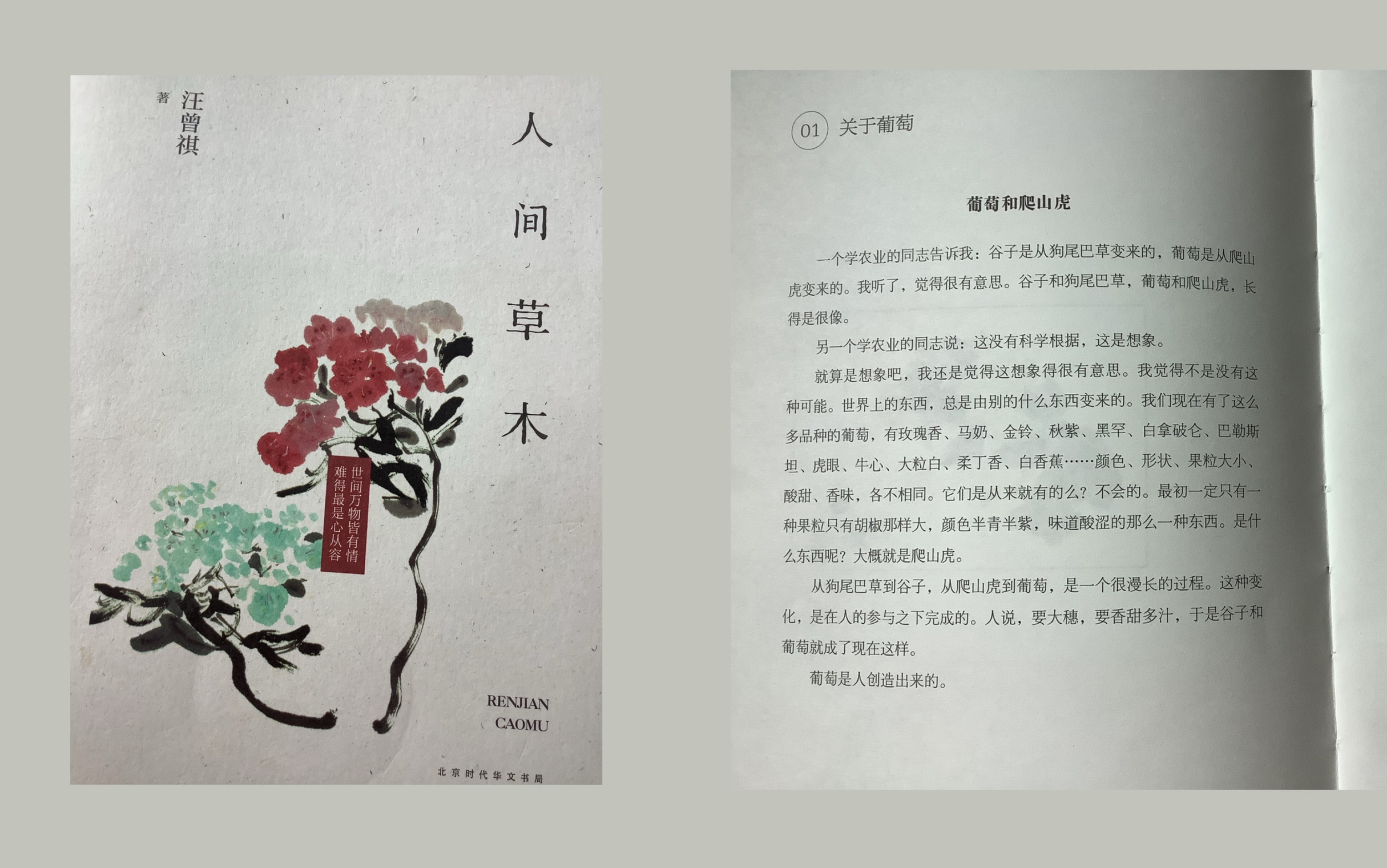 [图]《人间草木》汪曾祺-辑1-关于葡萄-葡萄和爬山虎