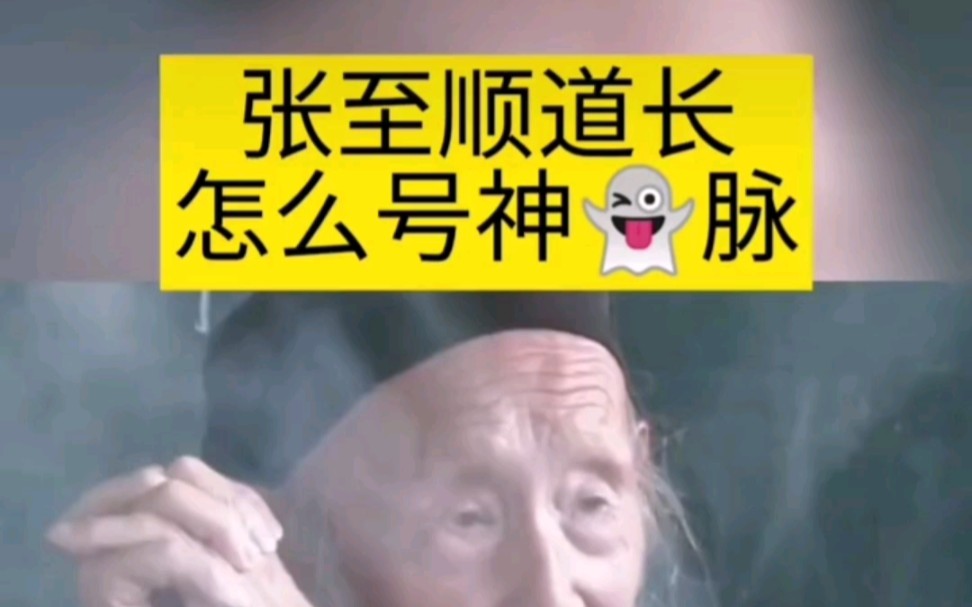 张志顺讲人的脉搏跳动哔哩哔哩bilibili