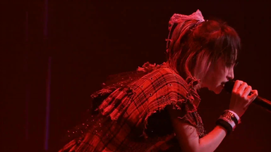 Gifu Villager】LiSA「LiVE is Smile Always～364+JOKER～」【BD