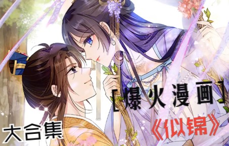 一口气看完爆火漫画《似锦》4哔哩哔哩bilibili