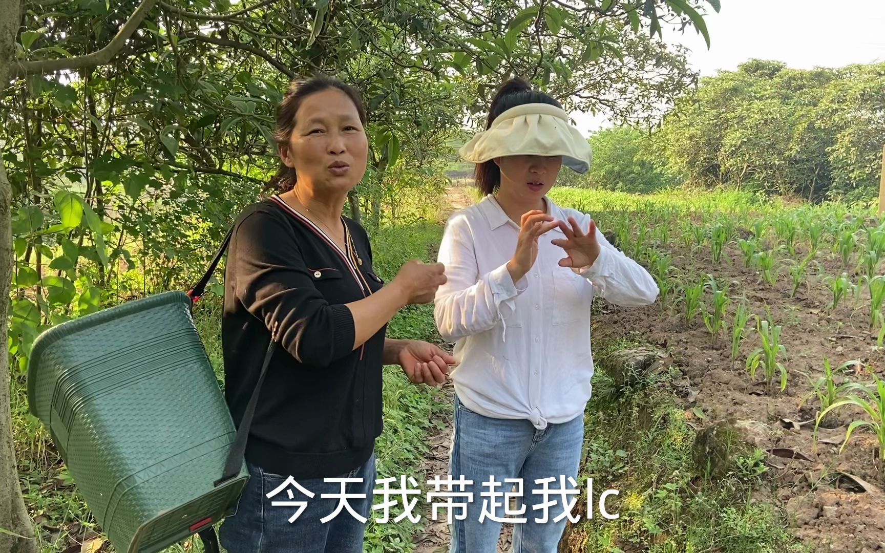 一家人去山上采摘枇杷,吃起来酸酸甜甜味道很正宗,一路边摘边吃哔哩哔哩bilibili