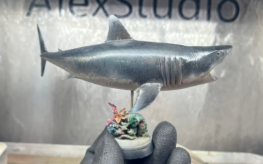 alexstudio大白鲨 35比例 可预定带地台 包模型 成品650 给签名卡每只