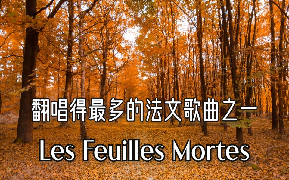 [图]翻唱得最多的法文歌曲之一《Les Feuilles Mortes 秋叶》【慢法语】