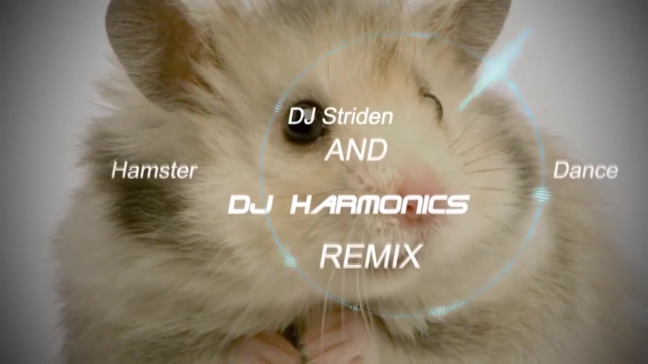 [图]DJ James电音舞曲集：The Hamster Dance Song（滴吧滴滴豆豆）开挂级急速加快版