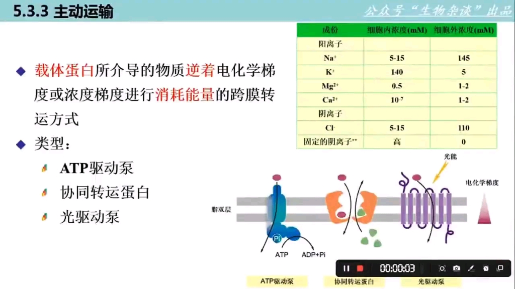 高中生物→逆浓度梯度运输哔哩哔哩bilibili