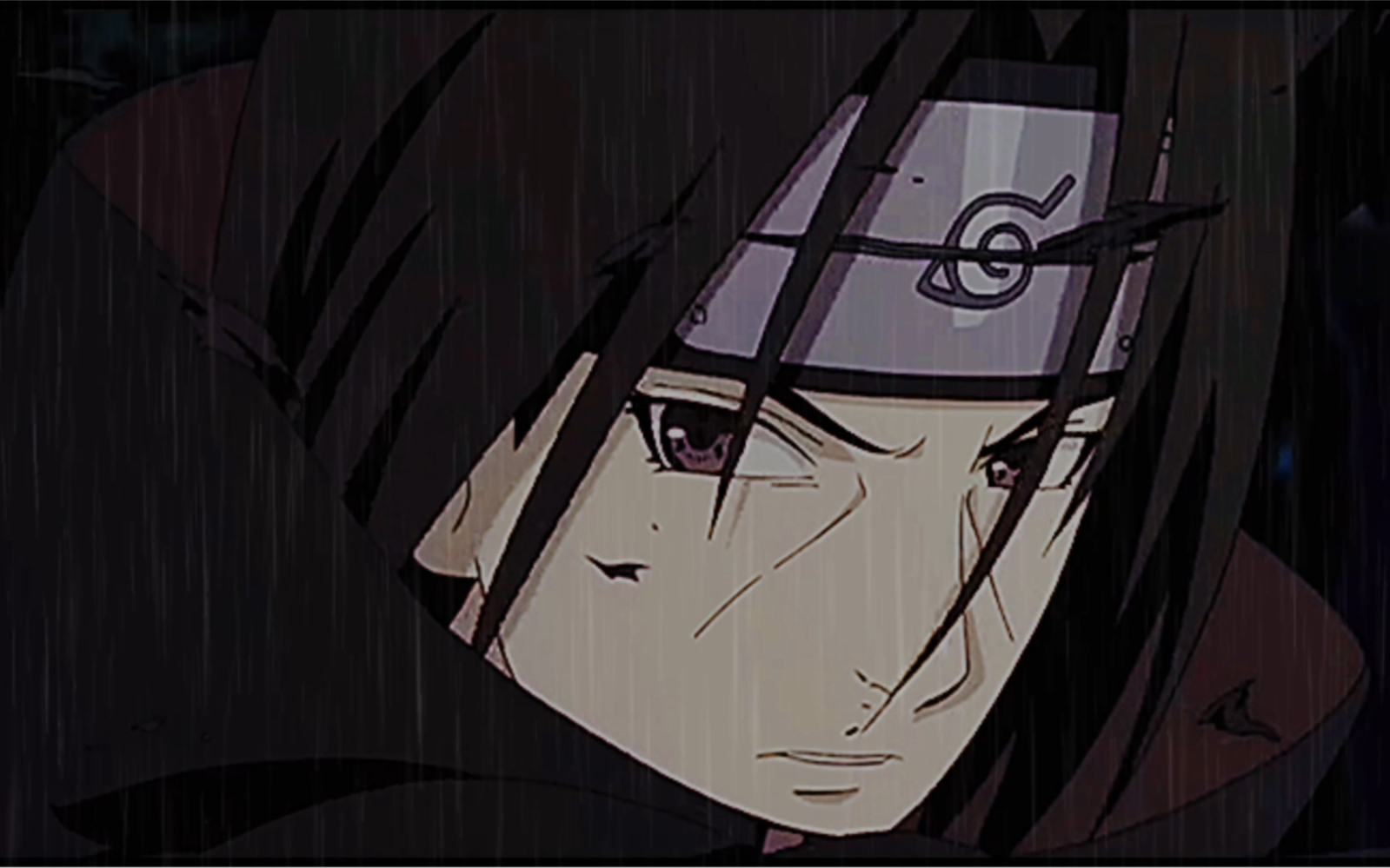 鼬先生,你在哭泣吗?