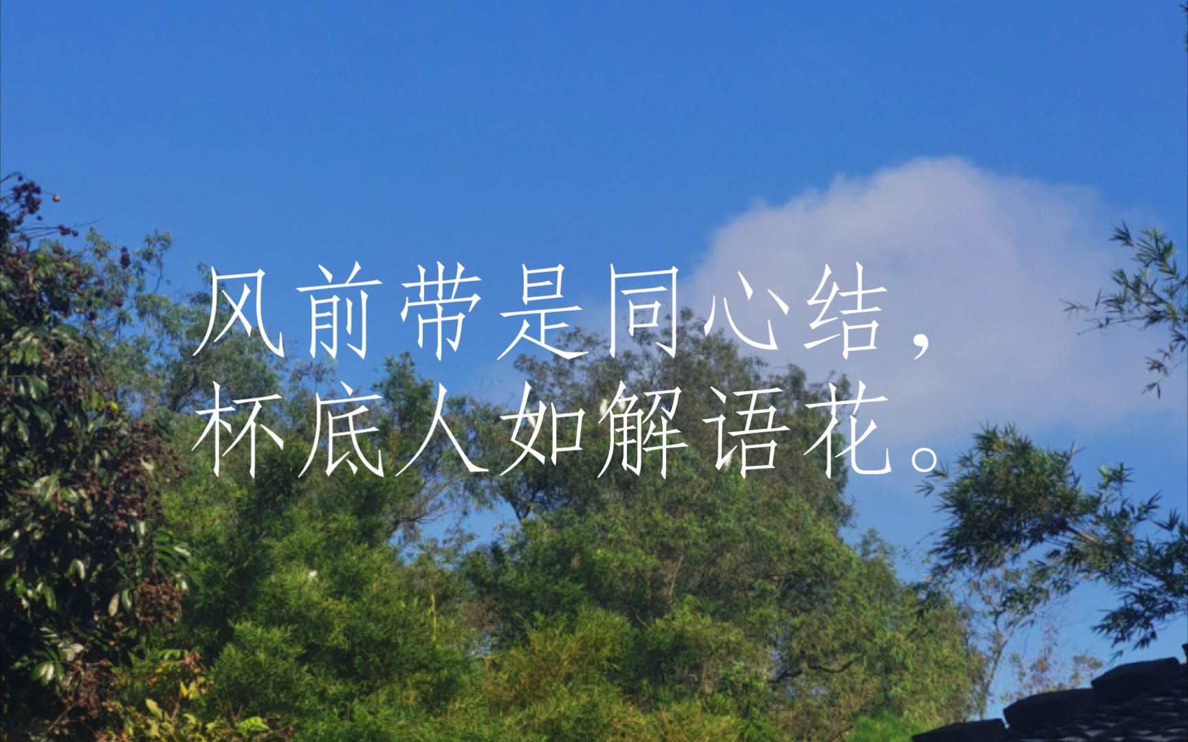 古诗三百首(感旧四首[清代]黄景仁)