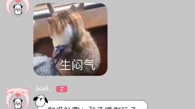 [白白的猪)吵架冷战不许说话 小狗小猪可爱死了哔哩哔哩bilibili