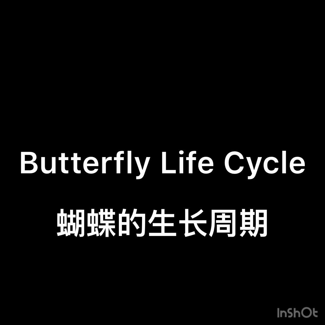 [图]Butterfly Life Cycle