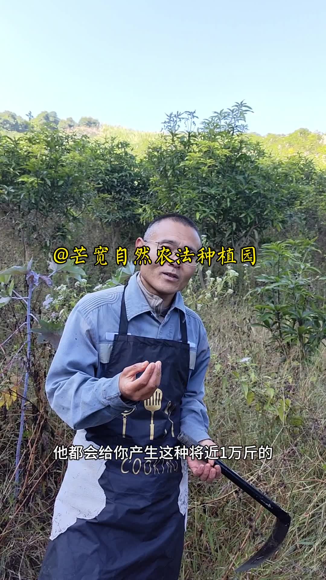 慣行農法裡,除草要打除草劑,施肥要用複合肥,而自然農法裡,草就是肥