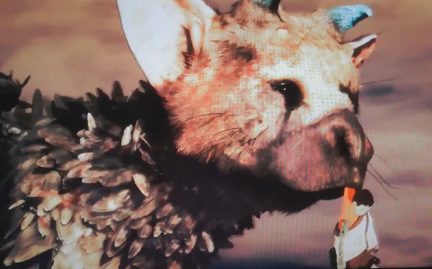 最后的守护者 食人的大鹫 娱乐实况 第十二期(完结