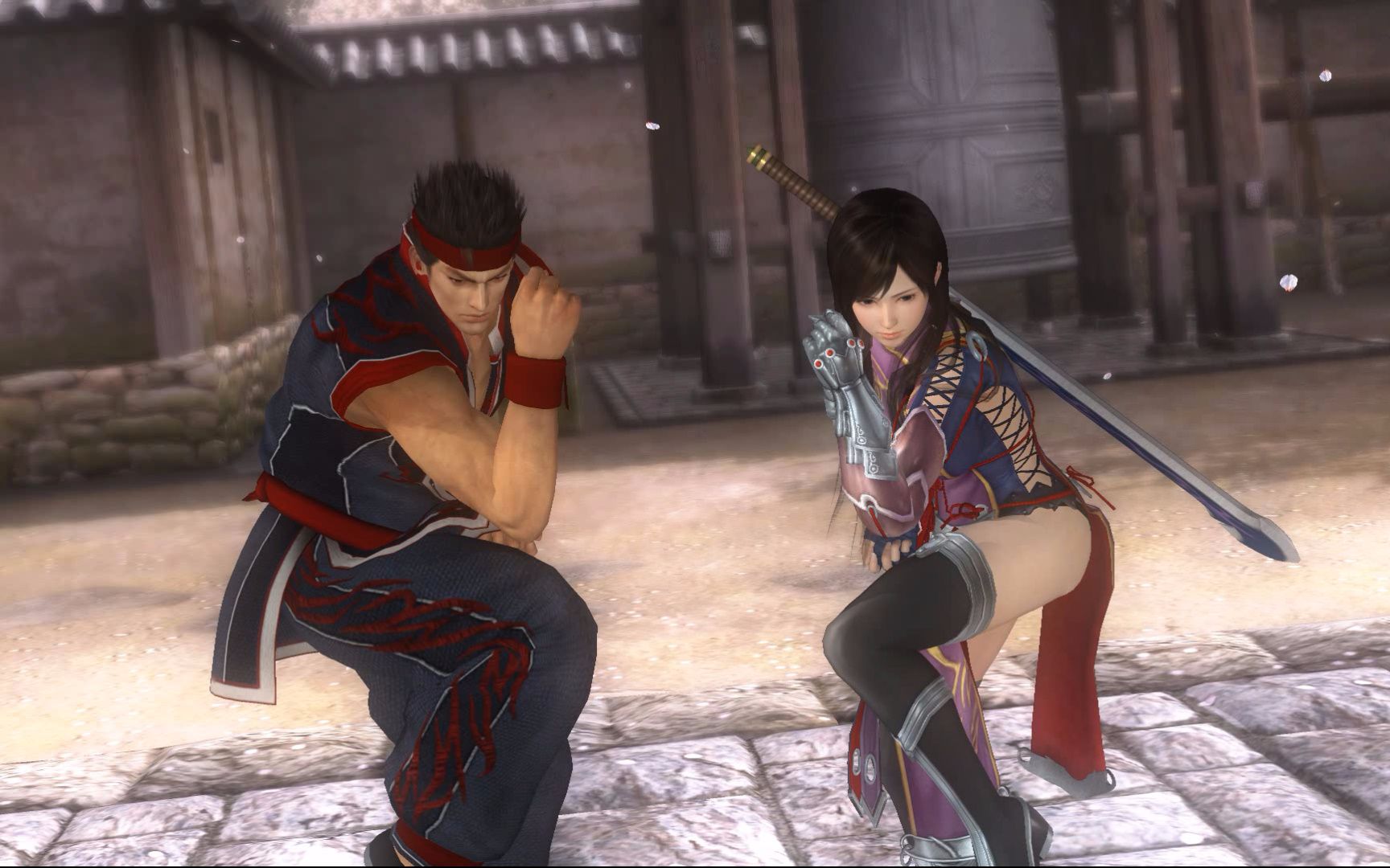 隼龙&绫音vs结成·晶&心