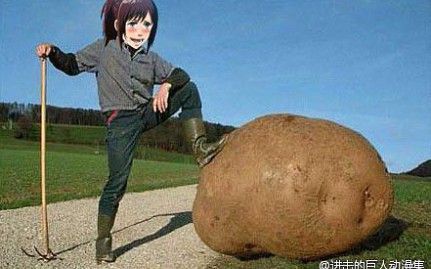 进击的巨人搞笑梗图 【第八期】