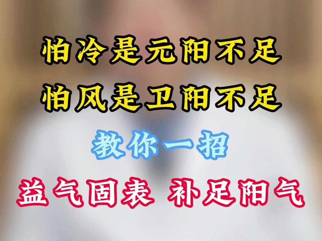 怕冷是元阳不足,怕风是卫阳不足!教你一招,益气固表,补足阳气哔哩哔哩bilibili