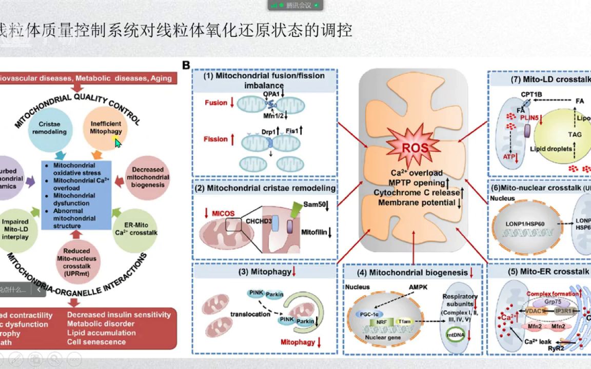 临床病例报告写作课程(丁13)医学会员免费学哔哩哔哩bilibili