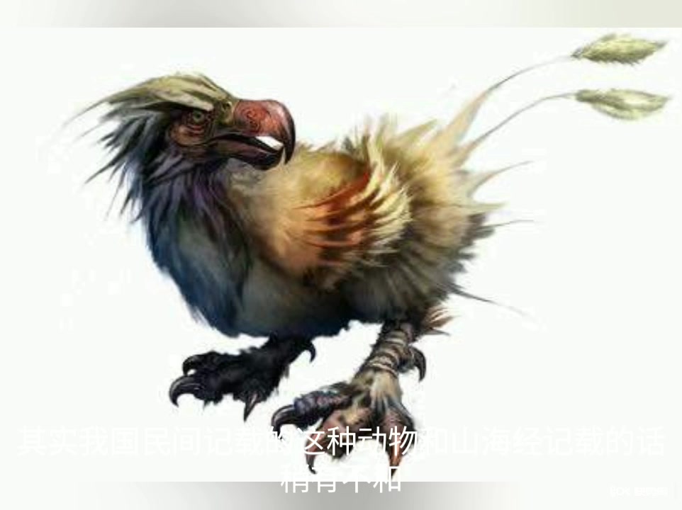 上古异兽--肥遗