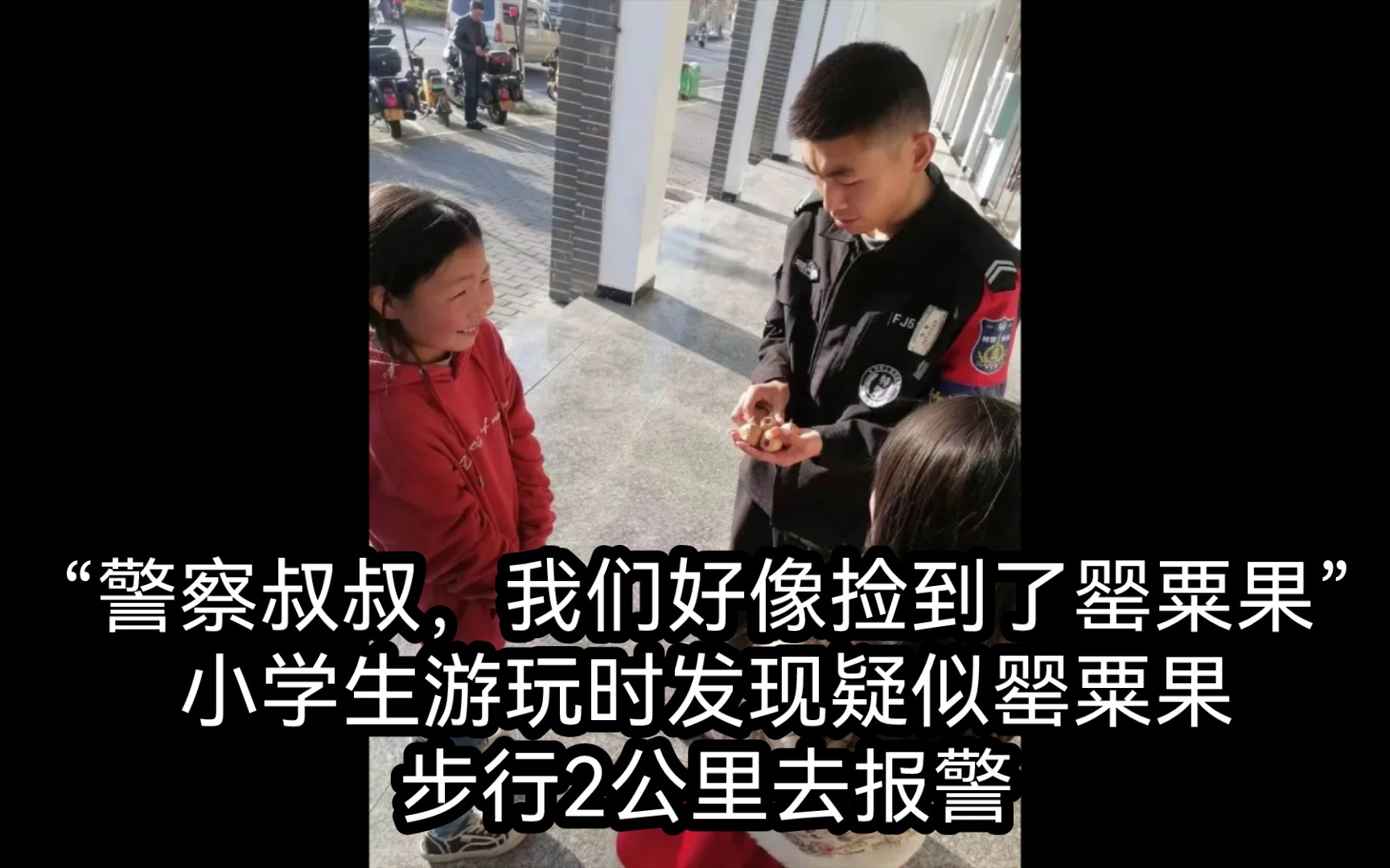 “警察叔叔,我们好像捡到了罂粟果”小学生游玩时发现疑似罂粟果,步行2公里去报警哔哩哔哩bilibili