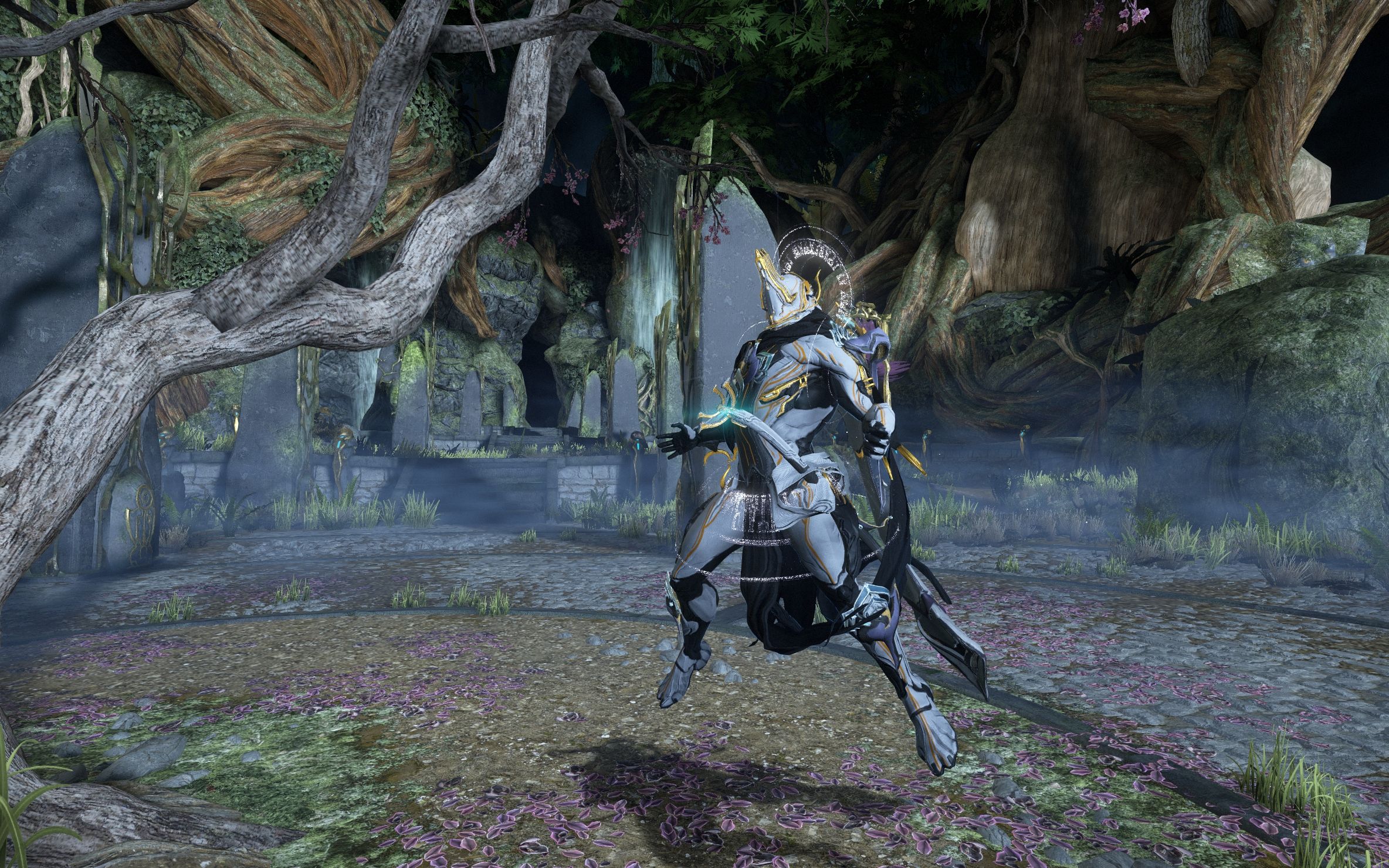 暗影侍刃过9段考试