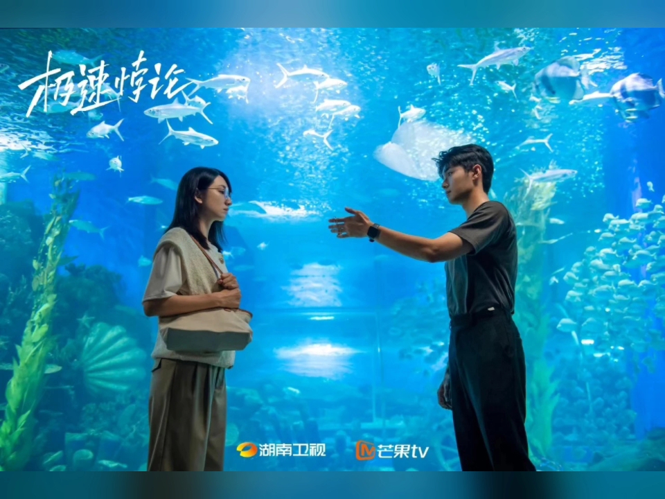 湖南卫视《金鹰独播剧场》电视剧《极速悖论》宣传海报