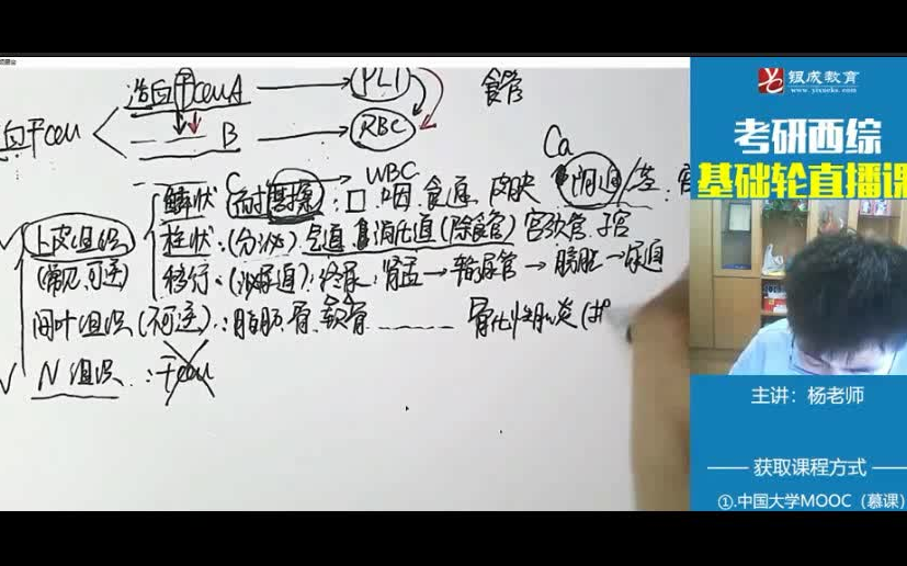 2022考研西医综合贺银成西综病理学基础直播课完整版持续更新哔哩哔哩bilibili