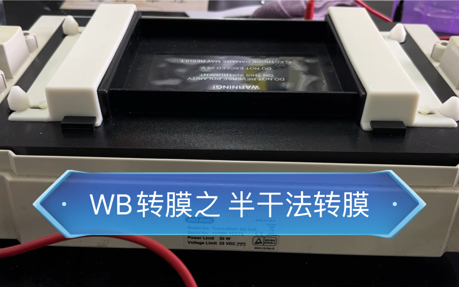 WB(western blot)转膜——半干法转膜哔哩哔哩bilibili