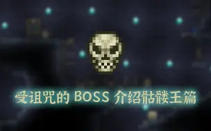 Video herunterladen: 泰拉瑞亚『骷髅王BOSS介绍』萌新向