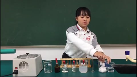 【实验教学参考】探究唾液淀粉酶对淀粉的消化作用哔哩哔哩bilibili