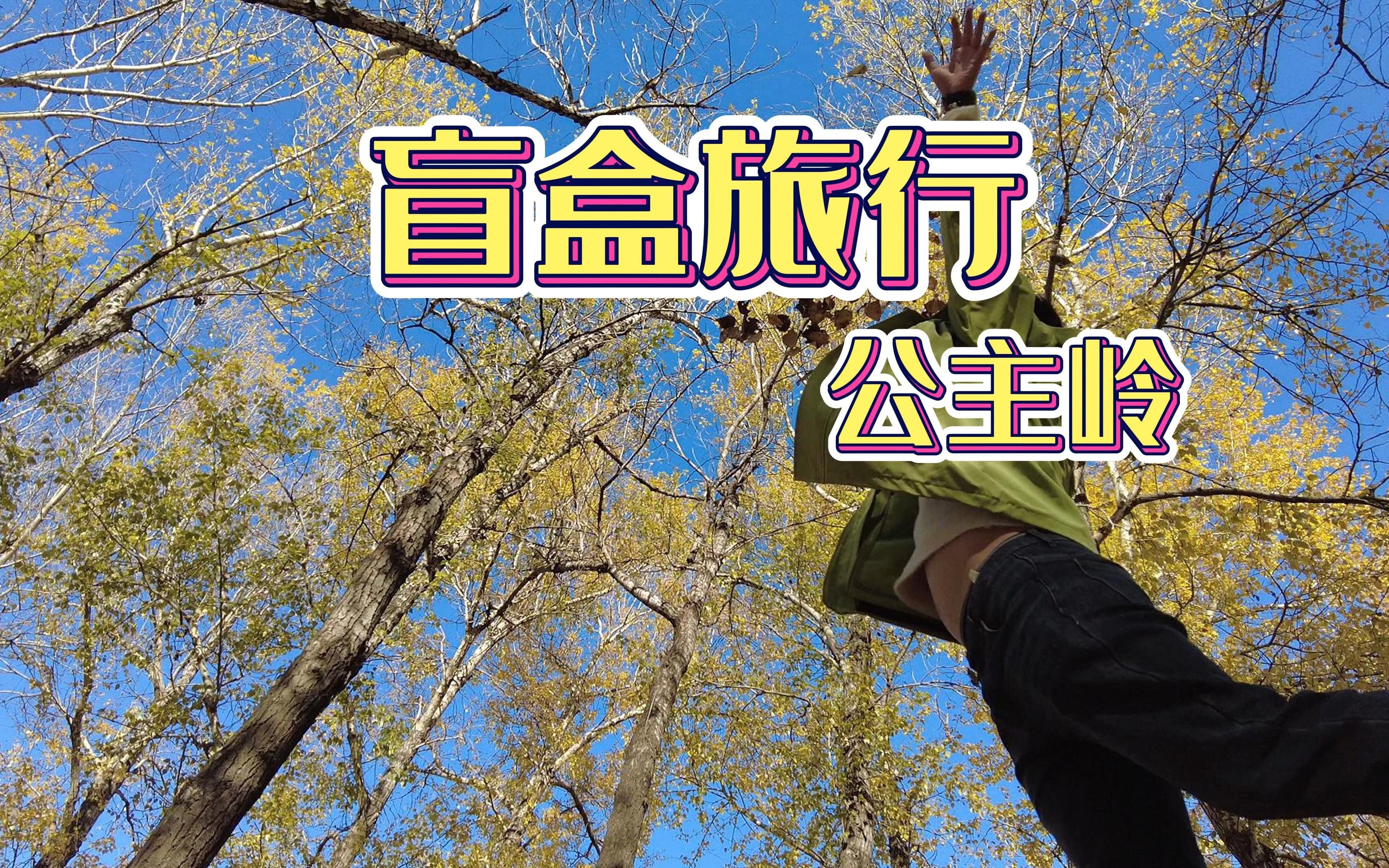 盲盒旅行之公主岭